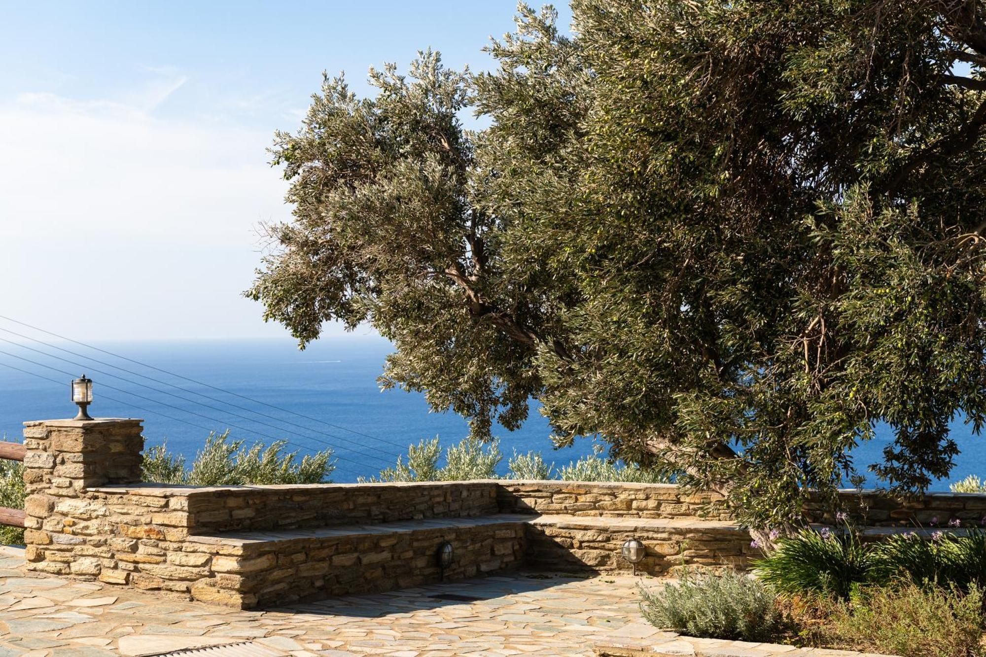 Andros Serenity Retreat - Adults Only Episkopion  Екстериор снимка